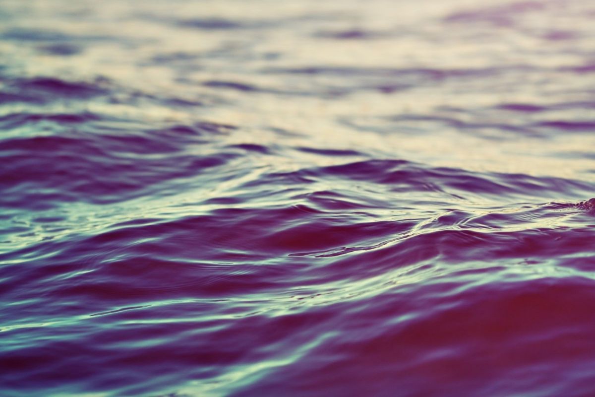 lighthouse data-aos=