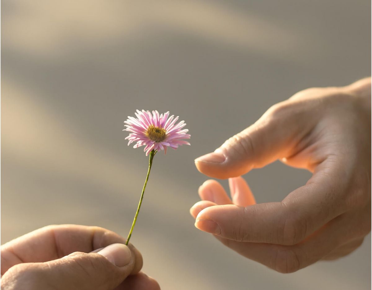 lighthouse data-aos=